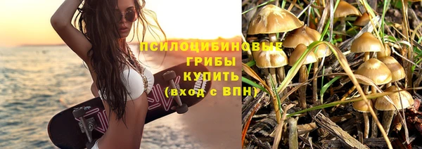 спайс Баксан